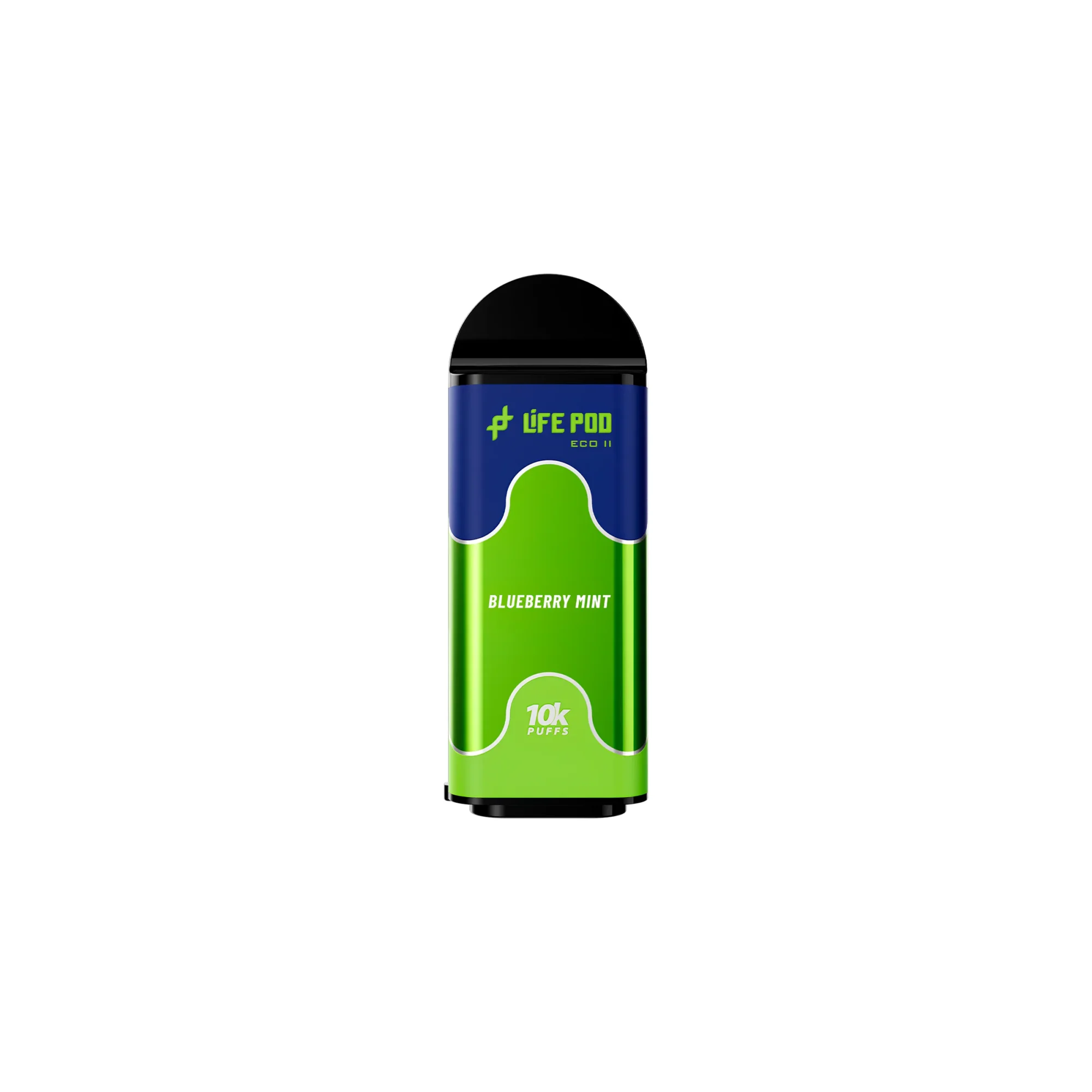 BLUEBERRY-MINT_14_11zon