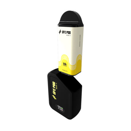 Life Pod Eco II Kit 10K - Banana Custard - Image 2