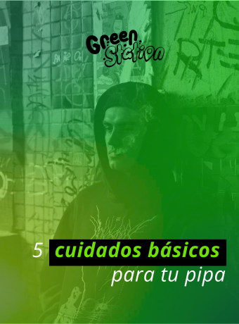 5 cuidados básicos para tu pipa