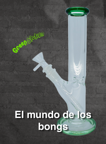 El mundo de los bongs: estilos, tipos y cuál elegir según tu estilo